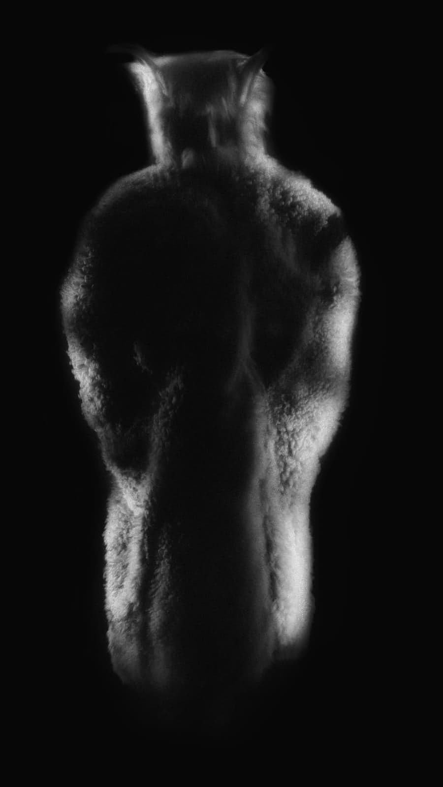 OUROBORIA - still 2