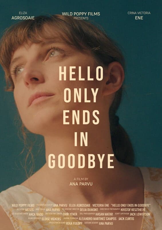 HELLO ONLY ENDS IN GOODBYE - still 4 of 6
